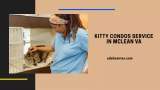 kitty condos service in mclean va