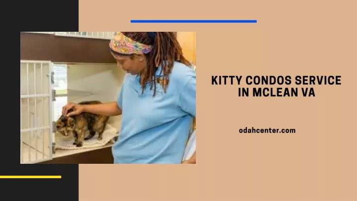 kitty condos service in mclean va