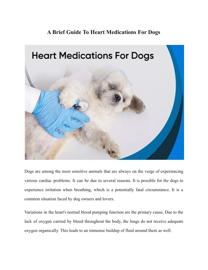 a brief guide to heart medications for dogs