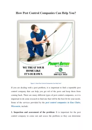 How Pest Control Companies Can Help You