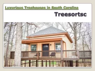 Treesort | Treehouse Rentals SC - Treesortsc