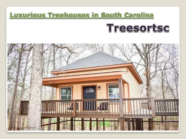 luxurious treehouses in south carolina