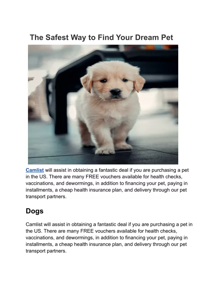 the safest way to find your dream pet