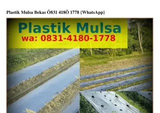 plastik mulsa bekas 831 418 1778 whatsapp