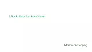 5 tips to make your lawn vibrant