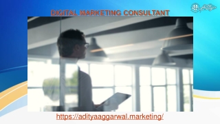 Hire the best digital marketing consultant