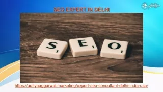 Find best seo expert in delhi