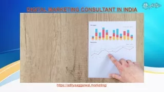 You can hire best digital marketing consultant in india