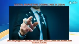 Who is the best digital marketing consultant in delhi