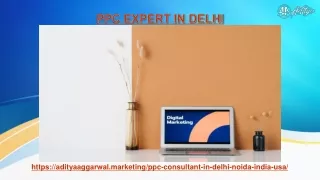 Who is the best ppc expert in delhi?
