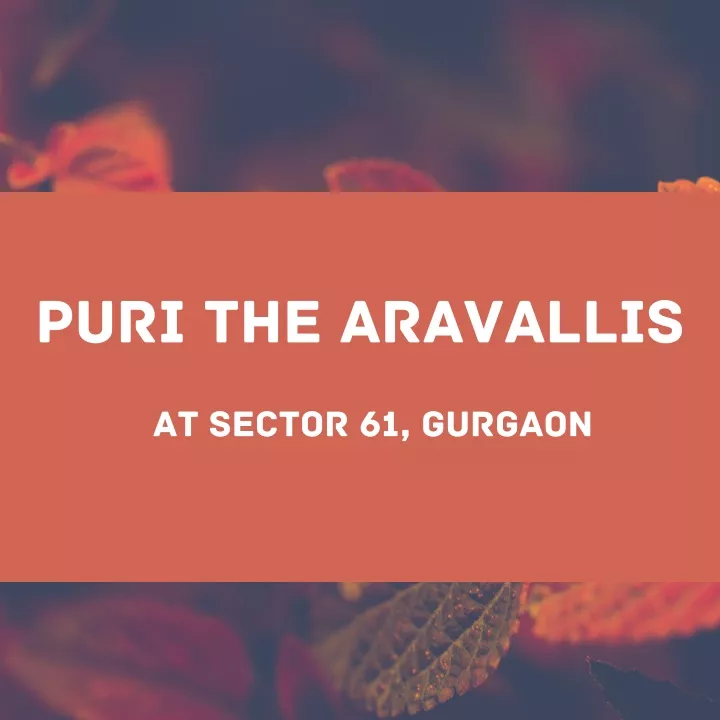 puri the aravallis