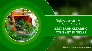 Best Land Clearing Company in Texas