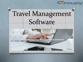 travel management s oftware