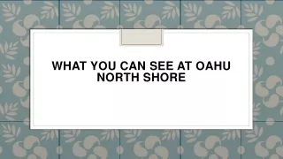 what you can see at oahu north shore