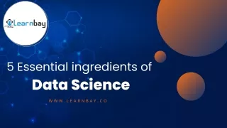 5 Essential ingredients of Data Science.