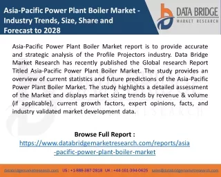 asia pacific power plant boiler market industry