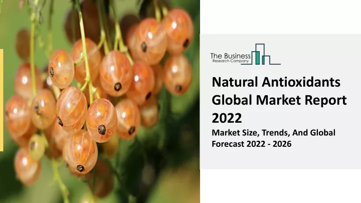 natural antioxidants global market report 2022