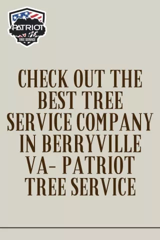 Check Out The Best Tree Service Company in Berryville VA- Patriot Tree Service