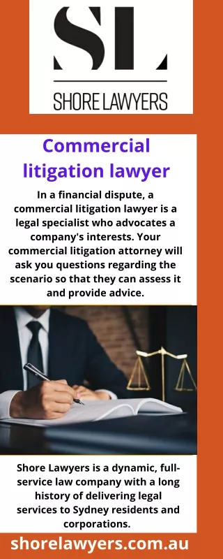 commercial litigation lawyer