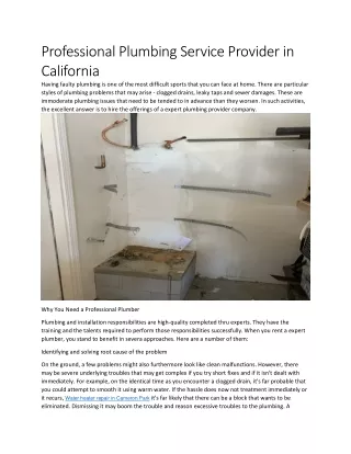 professional plumbing service provider