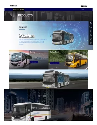 buses coaches