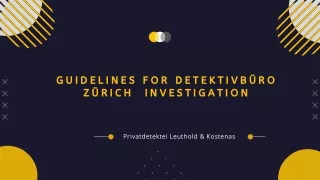 Guidelines for DetektivbüRo ZüRich  Investigation