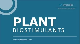 A guide you must read before buying plant biostimulants online