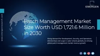 Patch Management Market