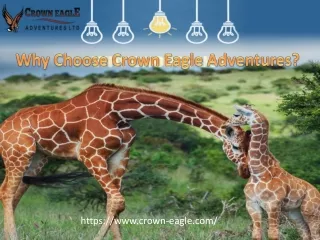 Why Choose Crown Eagle Adventures