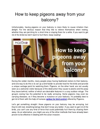 How to keep pigeons away from your balcony?