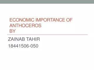 Economic importance of anthoceros