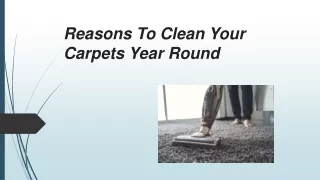 Reasons To Clean Your Carpets Year Round
