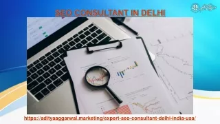 who is one of the best seo consultant in delhi?