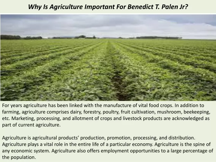 why is agriculture important for benedict t palen jr