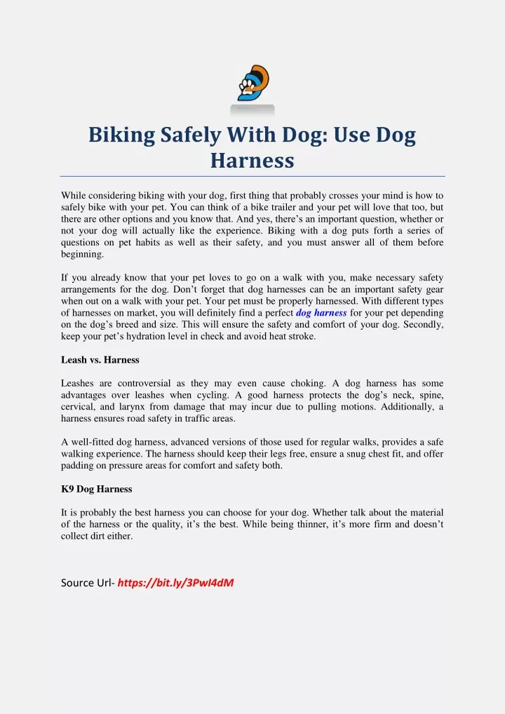 biking safely with dog use dog harness