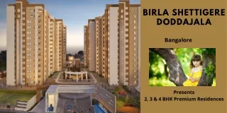 birla shettigere doddajala