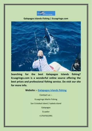 Galapagos Islands Fishing | Ecuagringo.com