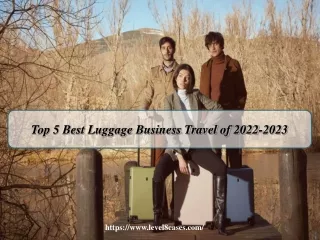 Top 5 Best Luggage Business Travel of 2022-2023