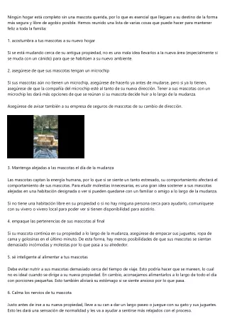 Mejores consejos de la mano de Mudanzas Economicas Madrid