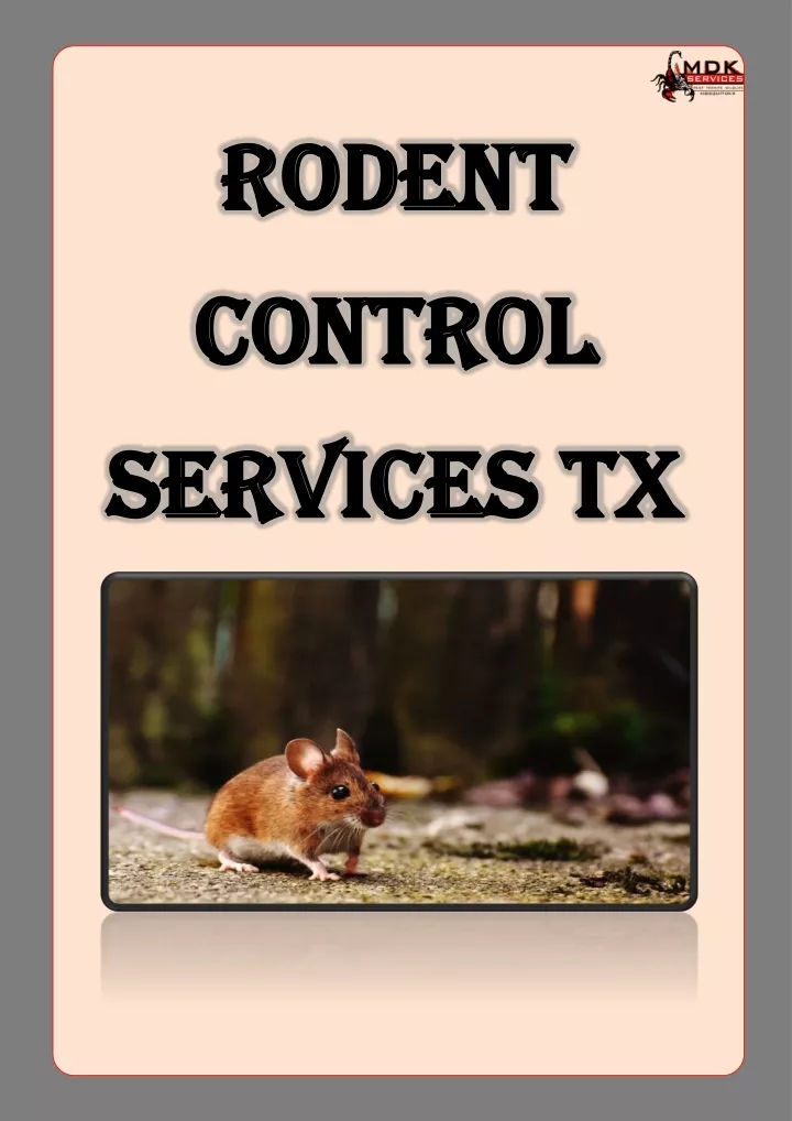 rodent rodent control control services