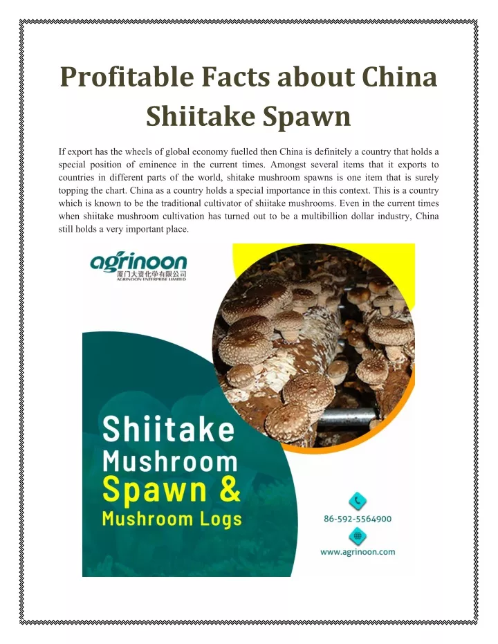 profitable facts about china shiitake spawn