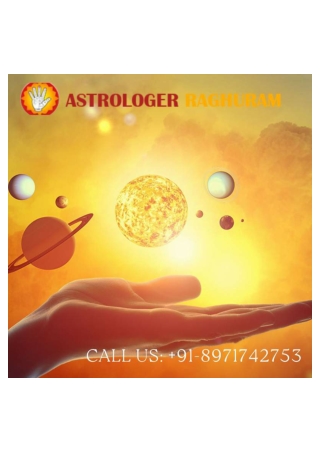 Top Astrologer