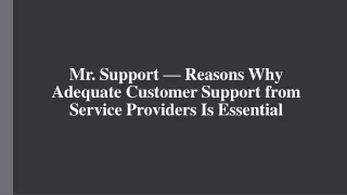 Mr. Support - Reasons Why Adequate Customer Support from Service Providers Is Essential