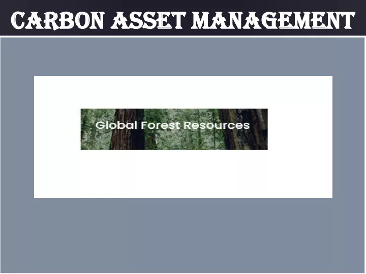 carbon asset management