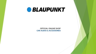 Buy 2 & 4 Channel Car Amplifier Online | Blaupunkt