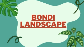Bondi Landscape Construction and Maintenance