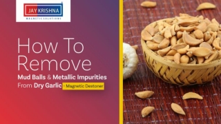 How to Remove Mud Balls & Metallic Impurities from Dry Garlic – Magnetic Destoner