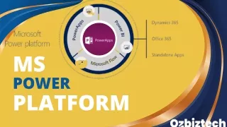 A Powerful Name for MS Power Platform - Ozbiztech