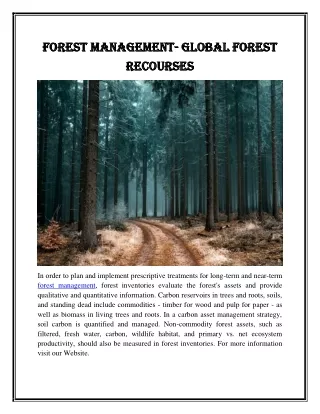 forest management forest management global forest