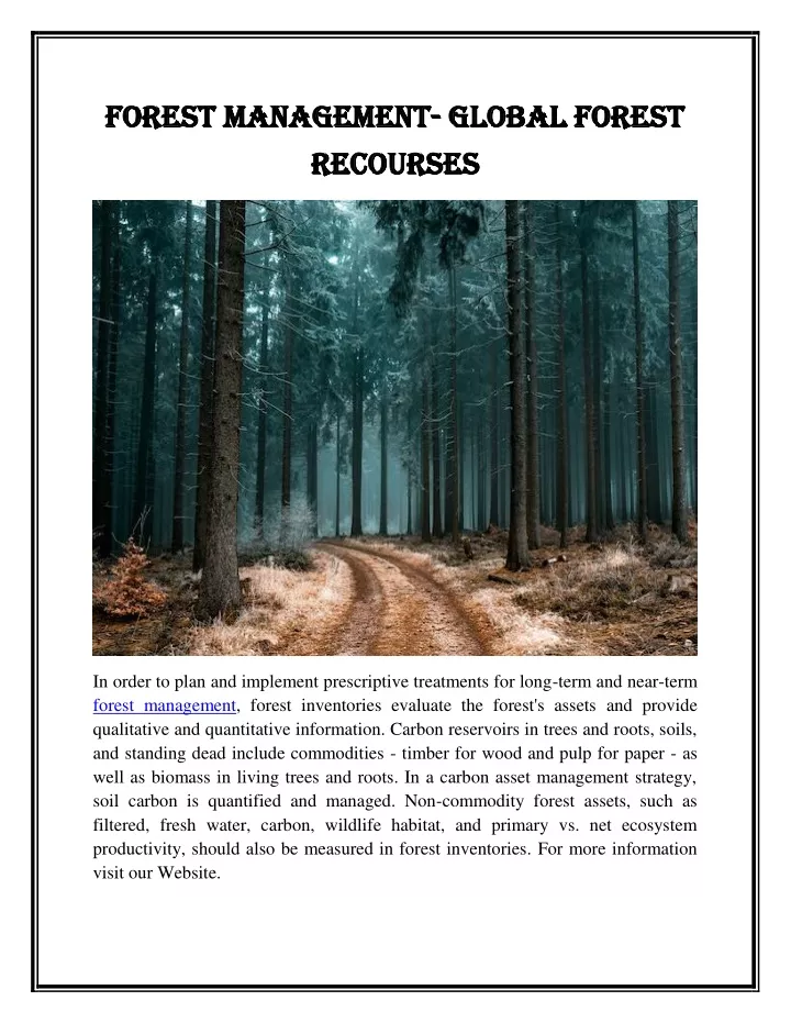 forest management forest management global forest